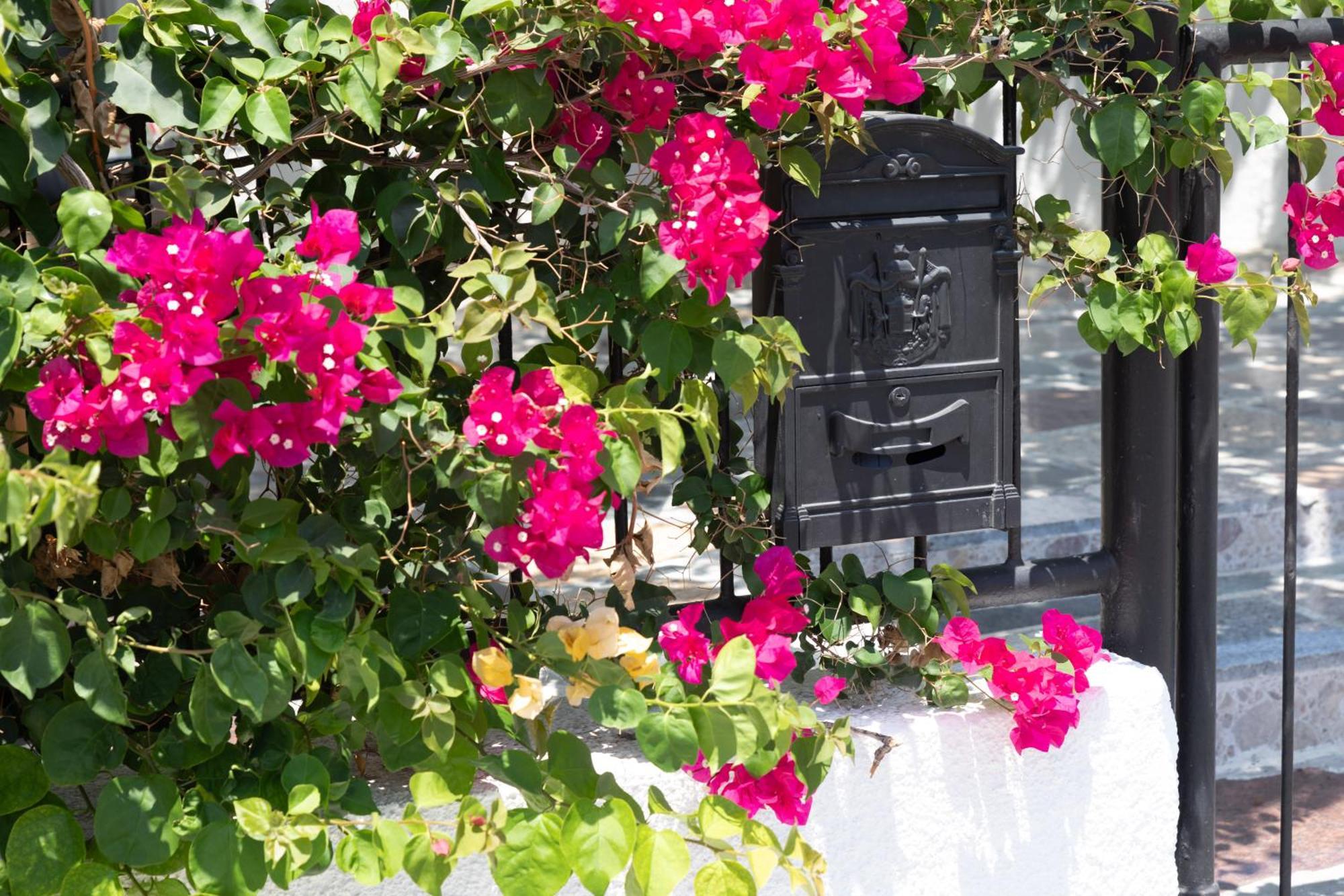 Limassol Akrotiri Beach Vine Cottage A المظهر الخارجي الصورة